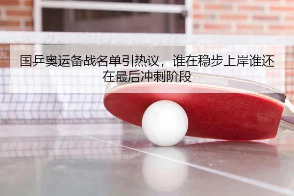 国乒奥运备战名单引热议，谁在稳步上岸谁还在最后冲刺阶段